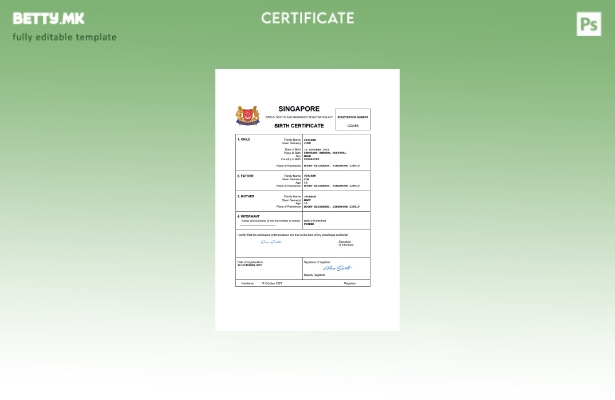 модерен стил Сингапур витален рекорд извод од матична книга на родени Шаблон за 